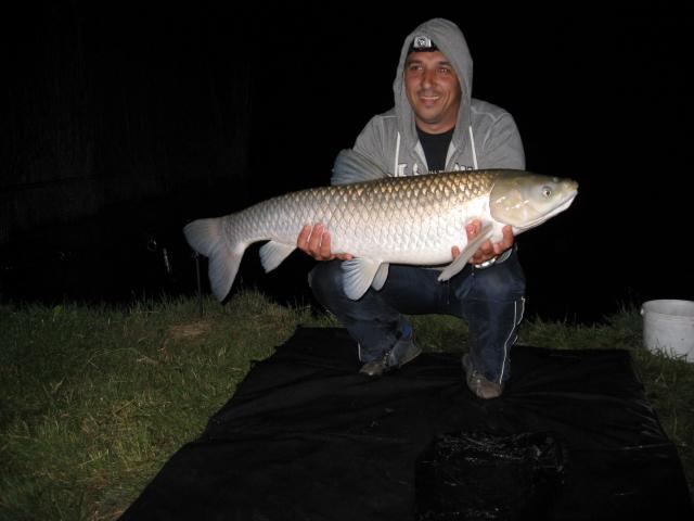 Pasiune - img1663.JPG